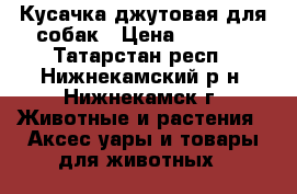 Кусачка джутовая для собак › Цена ­ 1 300 - Татарстан респ., Нижнекамский р-н, Нижнекамск г. Животные и растения » Аксесcуары и товары для животных   